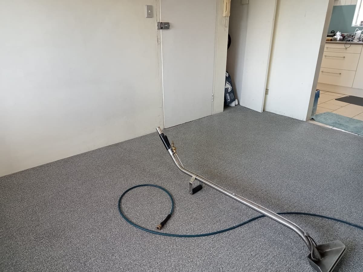 Professional carpet cleaning Southern Sydney before and after