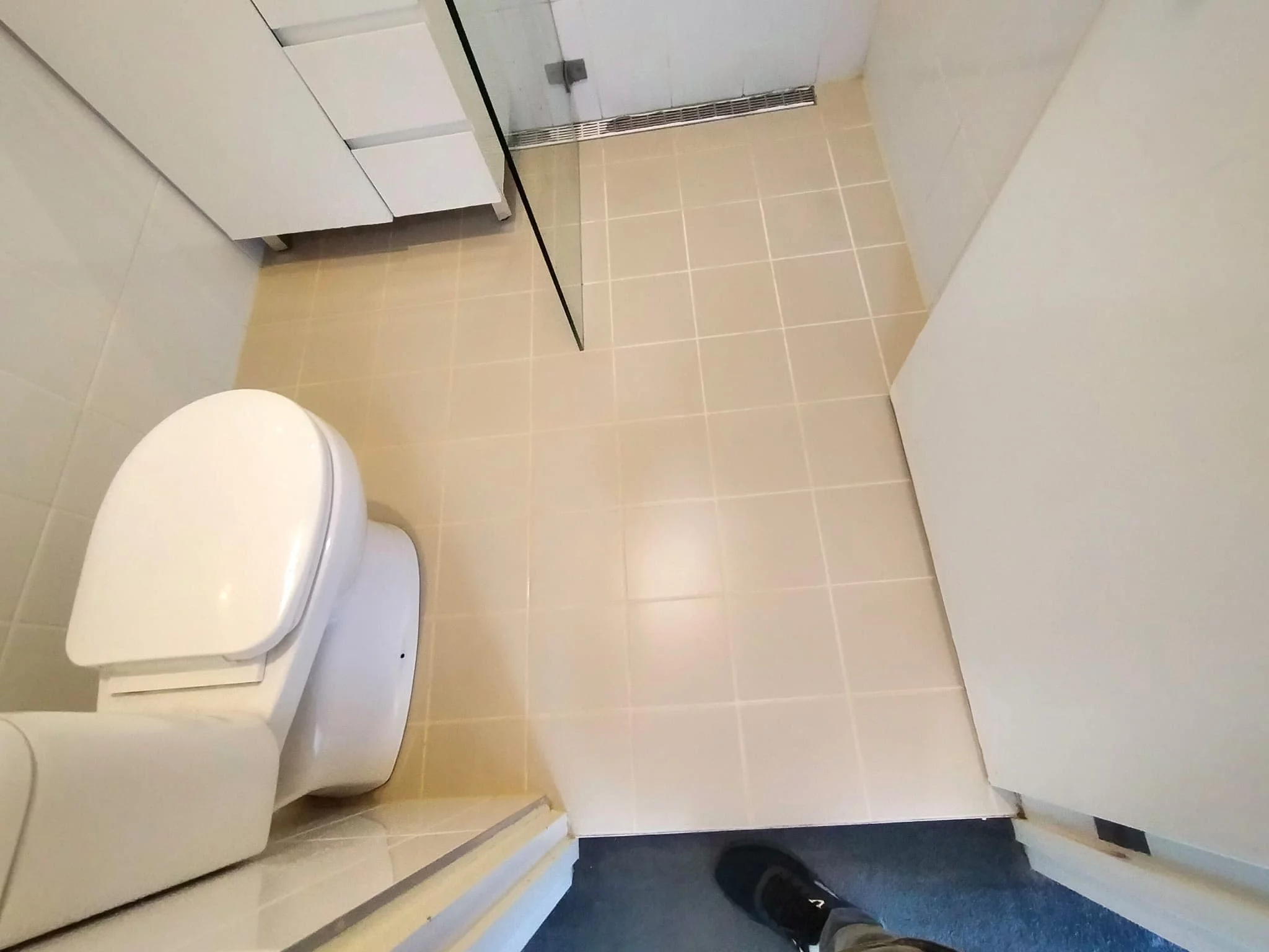 tile and grout cleaning